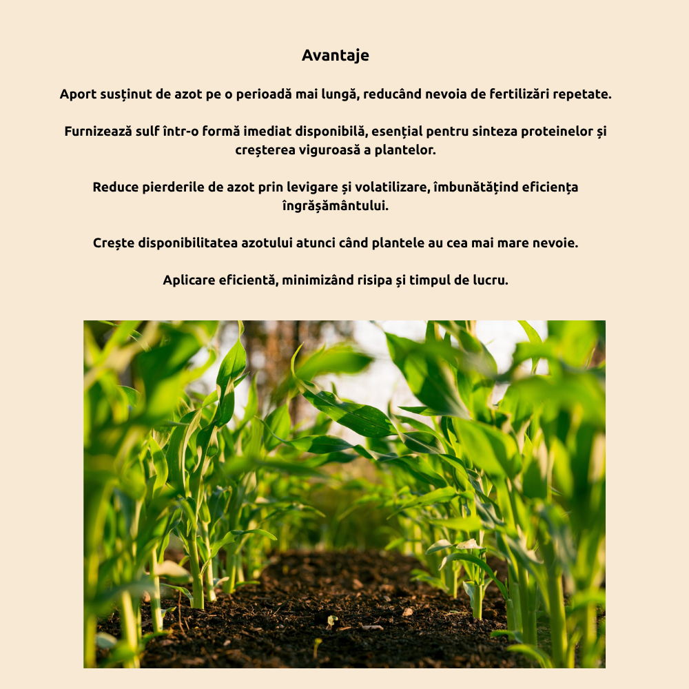Ingrasamant cu Azot si Trioxid de sulf pentru Legume, Cereale, Gazon si Plante - Azot Sfera NS 33-29, 33% N, 29% SO3, Efect Prelungit, 2kg
