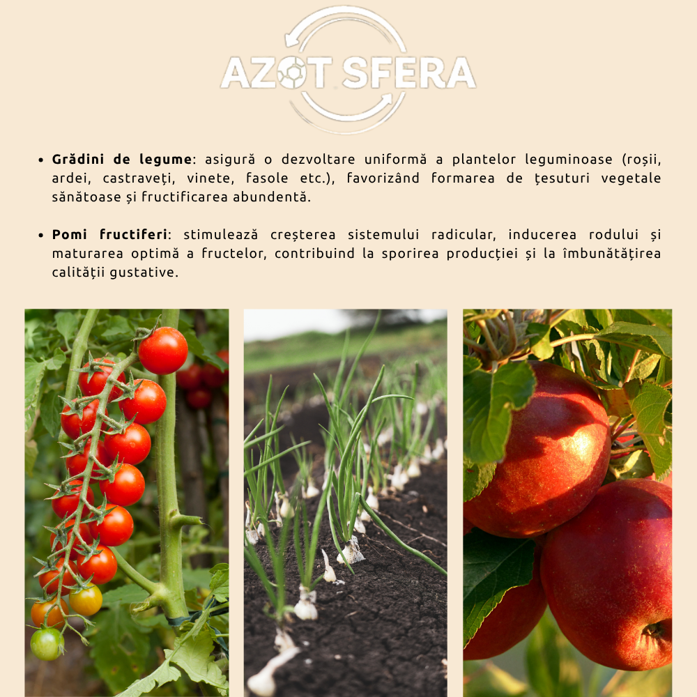 Ingrasamant cu Azot si Trioxid de sulf pentru Legume, Cereale, Gazon si Plante - Azot Sfera NS 33-29, 33% N, 29% SO3, Efect Prelungit, 10kg