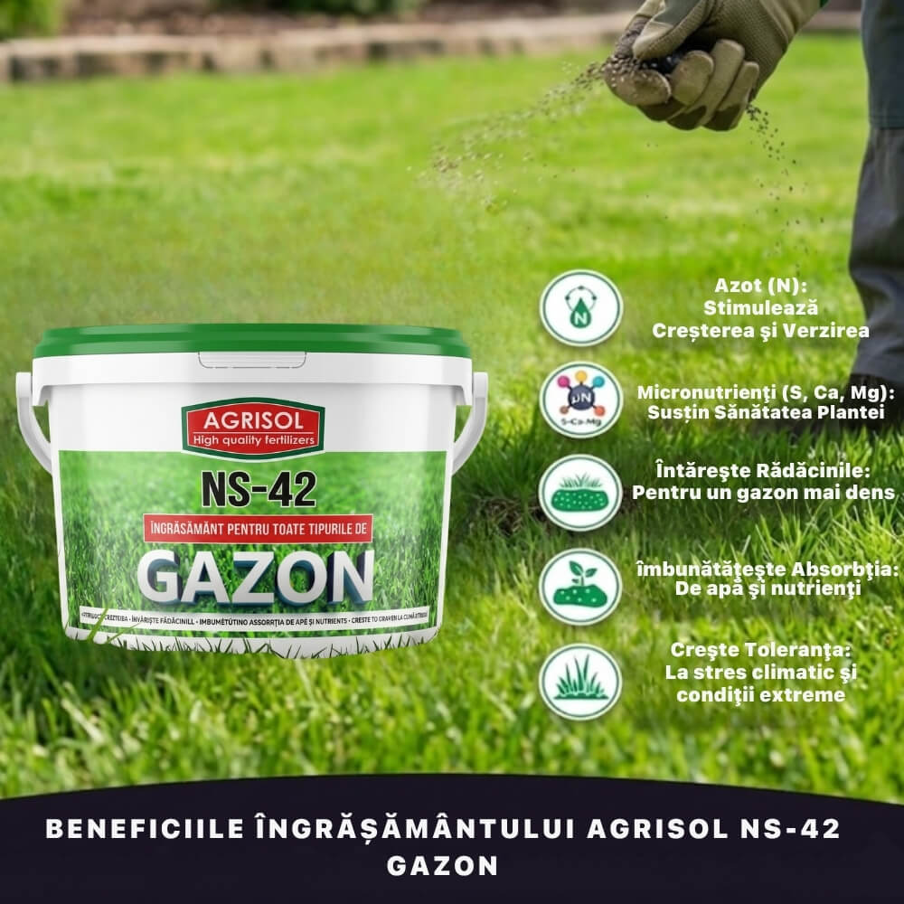 Ingrasamant pentru Gazon AGRISOL NS-42, 2.5 kg, Crestere Rapida si Verde Intens, Toate Tipurile de Gazon