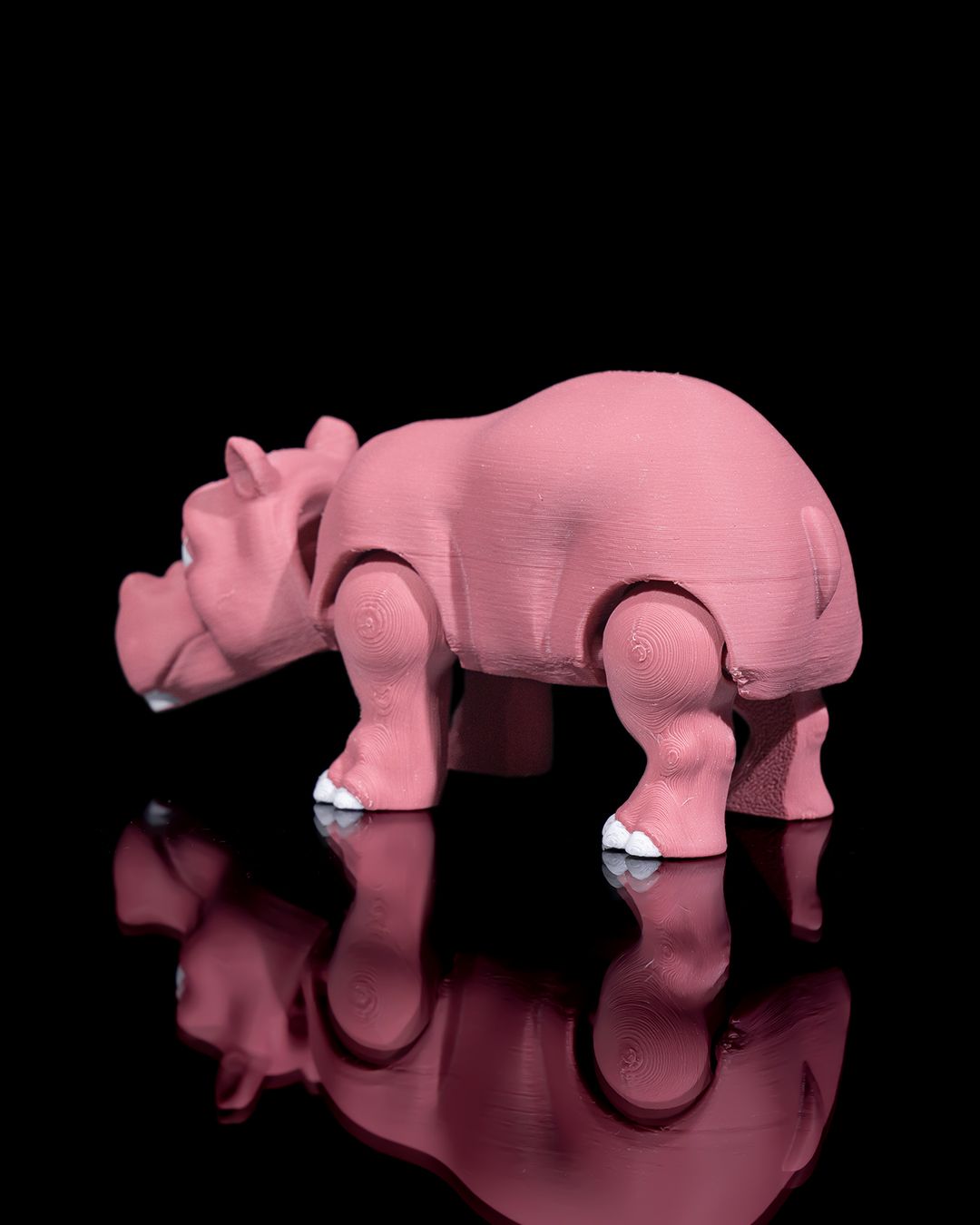 Hipopotam 3D