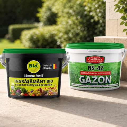 Casă & grădină